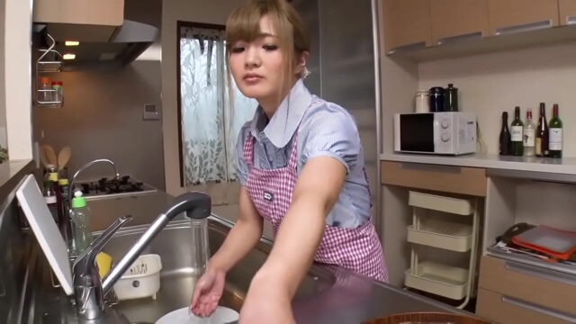 無修正　義父へ対するストレスでオナニーする若奥様。